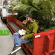 Image for article titled One Man's Dumpster Is Another Man's Tiny Mobile Park